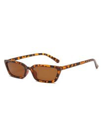 Očala - koda GLA92038 - 3 - leopardi